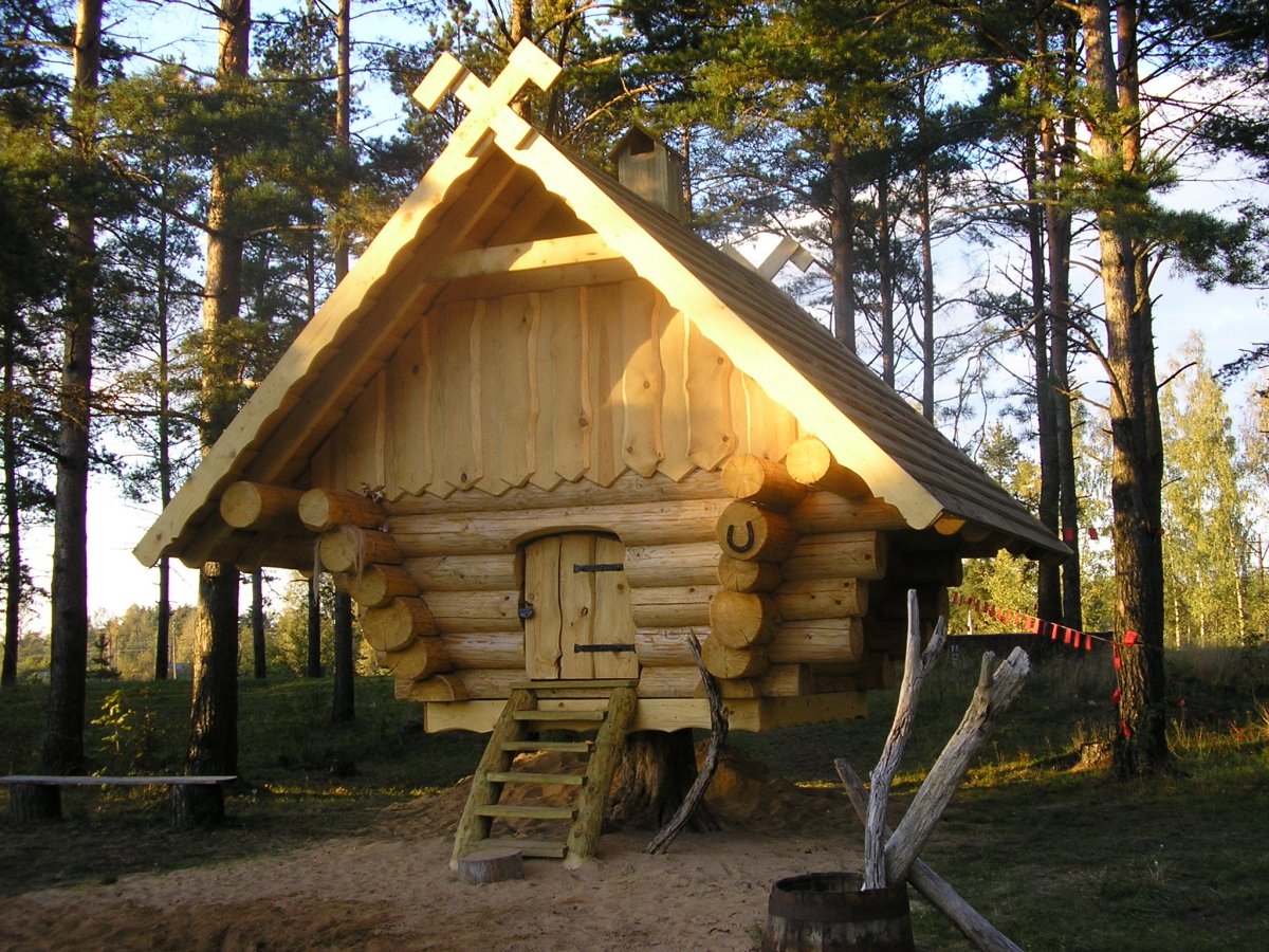 Ruwe-stammen blokhut in het bos